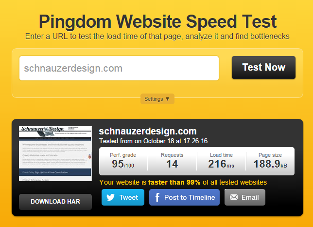 Schnauzer Design's Colorado Speed Optimization scores 99% faster than most websites.